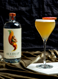 Win a Seedlip Alcohol-Free Cocktail Kit