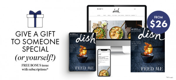 dish subscription offer