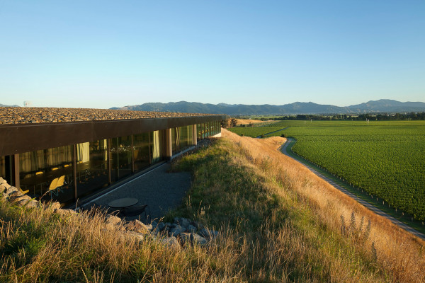 Restaurant at Brancott Estate vineyard