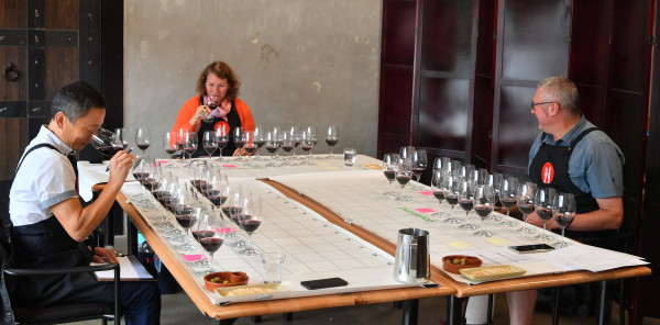 Judging wines at Gilmours competition