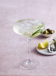 Gin Refresher 