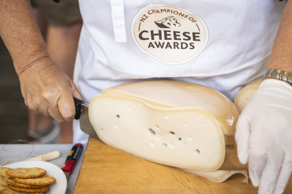 NZ Champions of Cheese judging