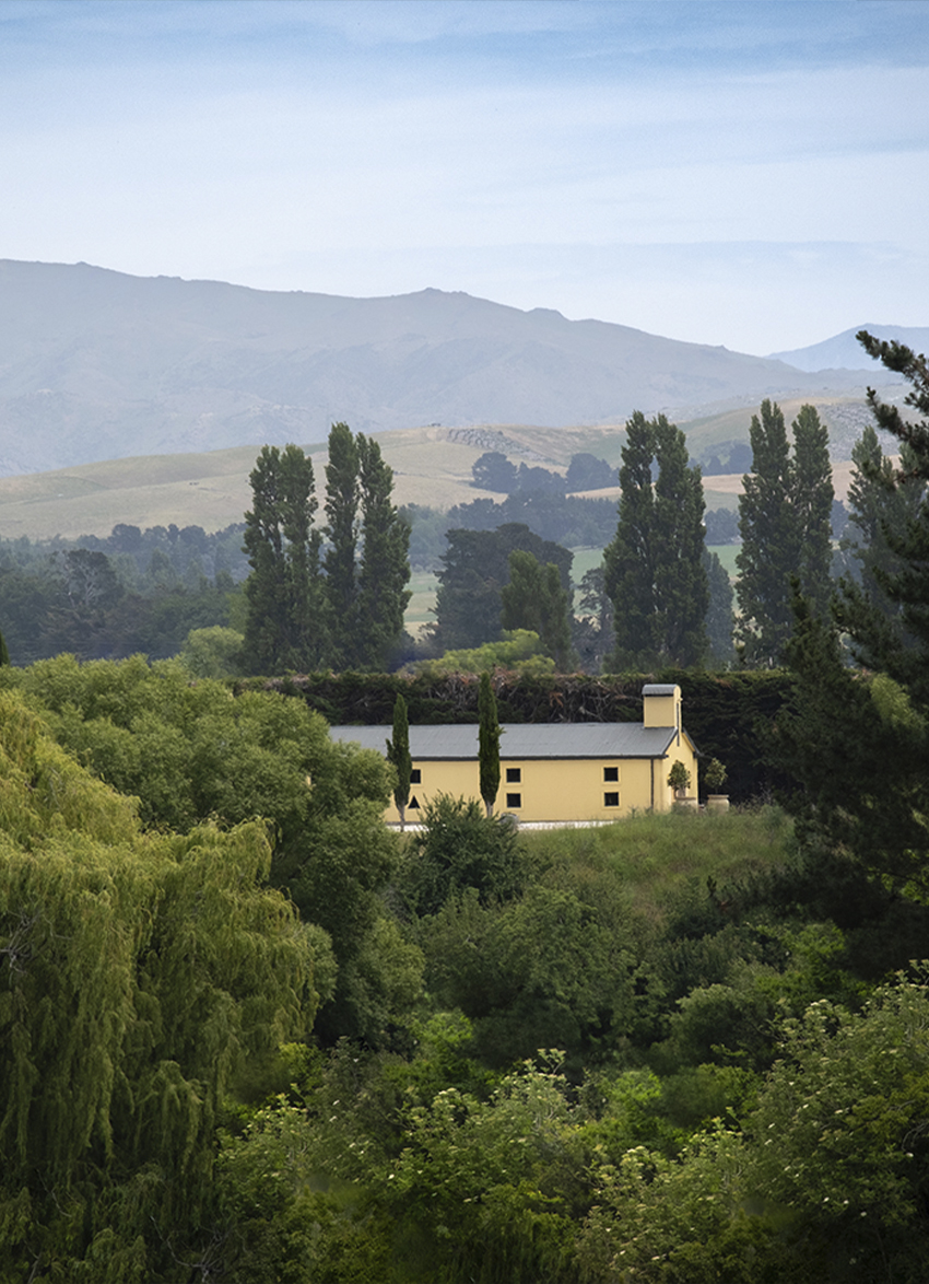 Vineyard Victory: Dancing Water’s Global Triumph