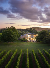 INVESTMENT OPPORTUNITY: Redmetal Vineyard, Good Times in the Vines