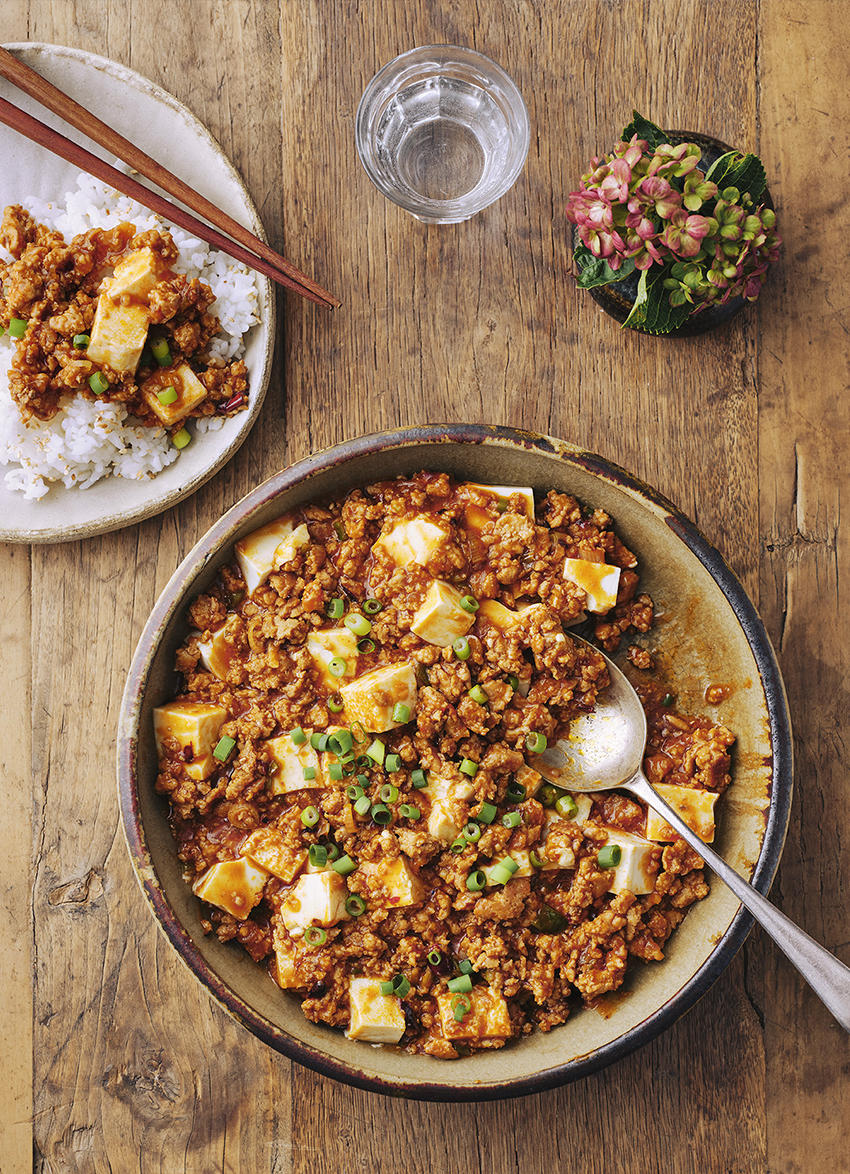 Mapo Tofu