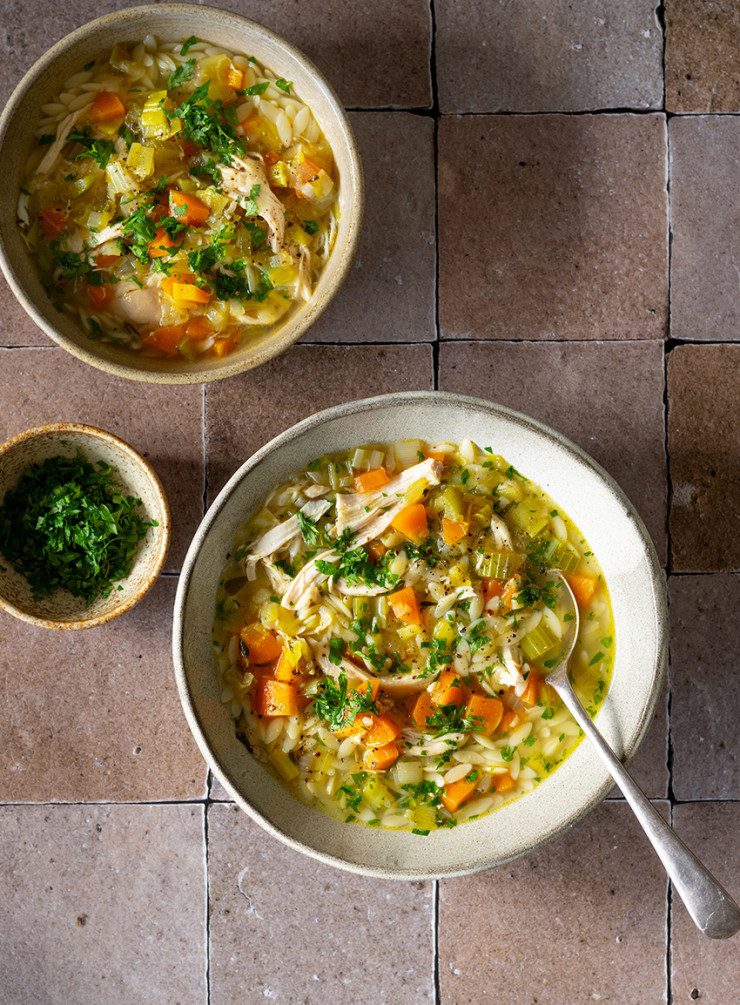 Roast Chicken, Vegetable and Orzo Soup - Dish Magazine
