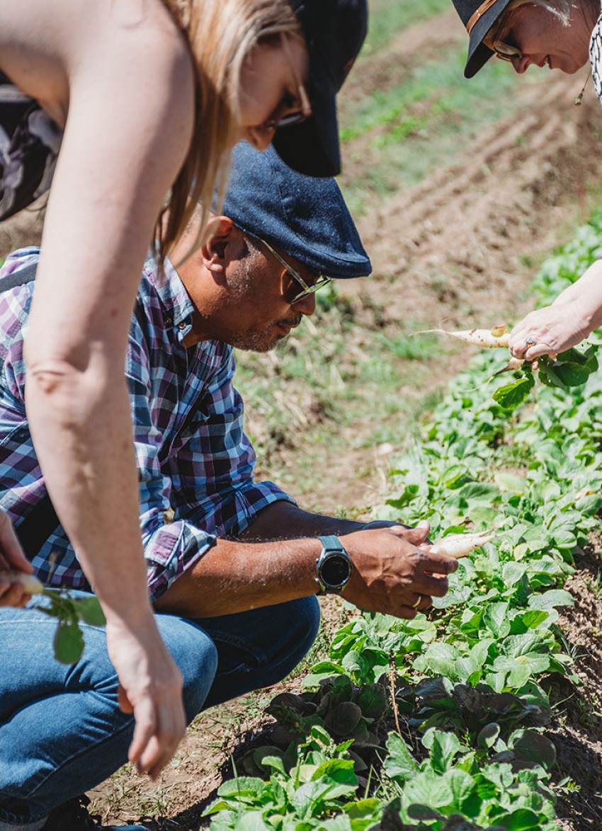 Forage & Feast: The Wanaka business putting local producers in the spotlight