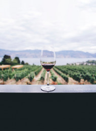 Tasting Panel - Pinot Noir