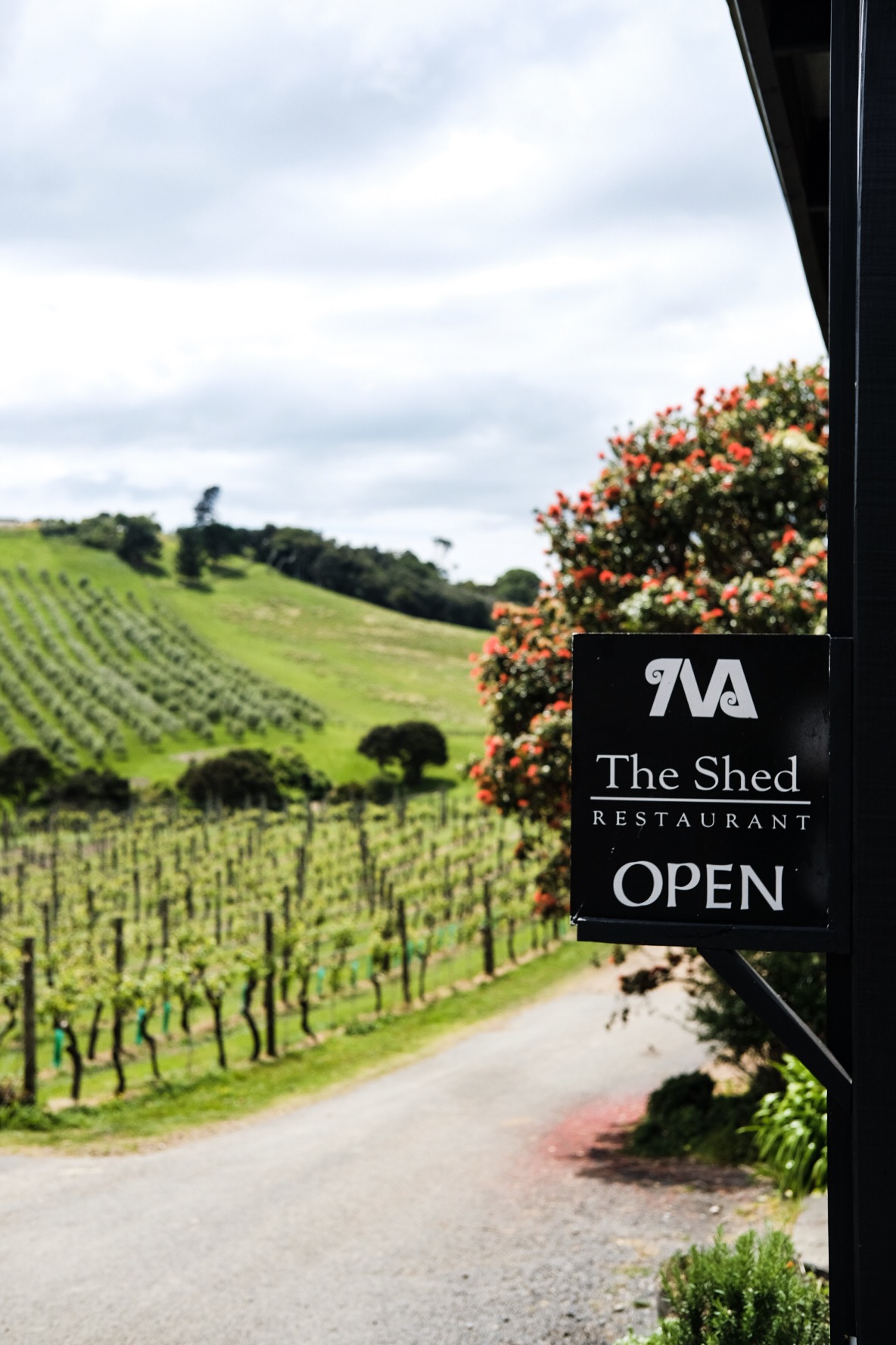 The Shed restaurant at Te Motu vineyard