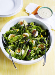 Garden Salad with Lemon, Tarragon and Sour Cream Dressing