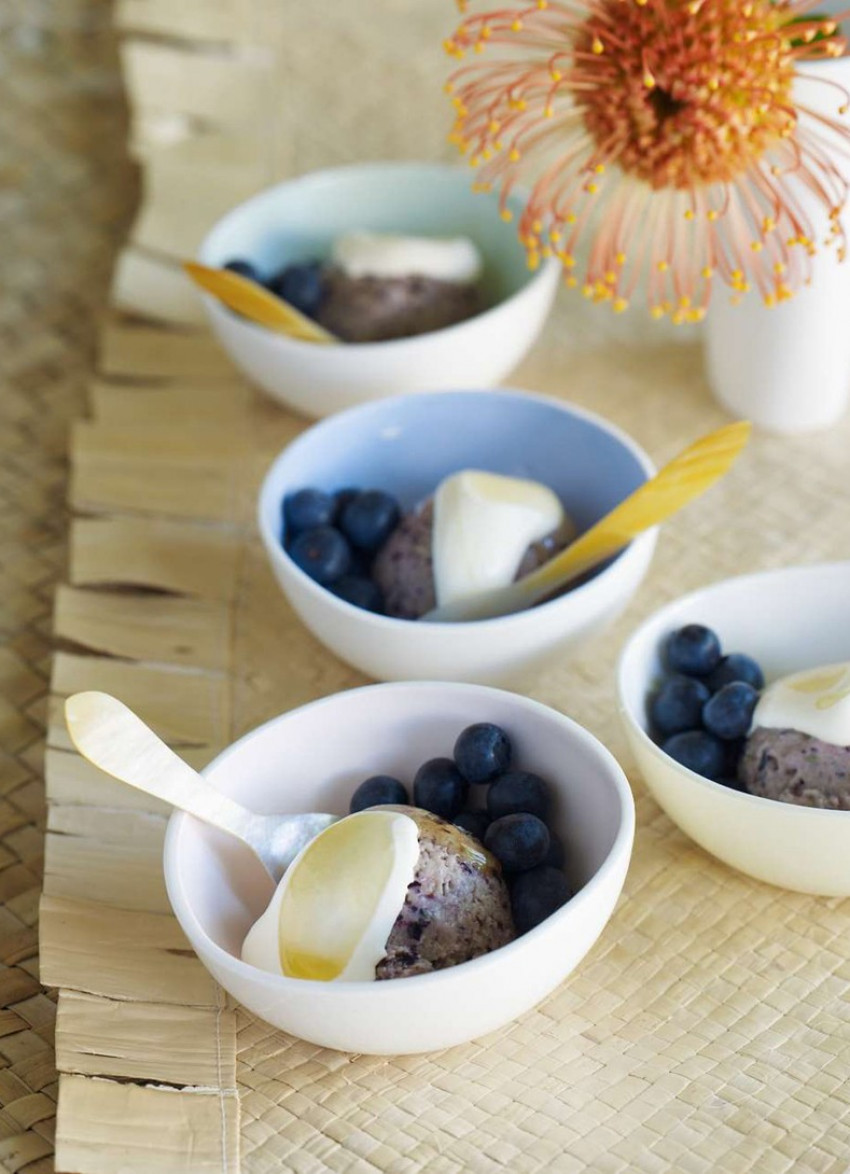 Frozen Blueberry Yoghurt