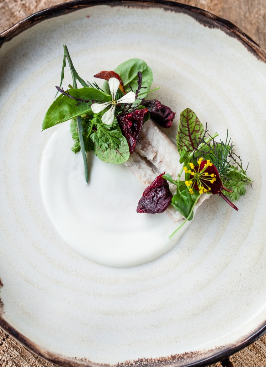 Growing New Zealand's culinary conversation