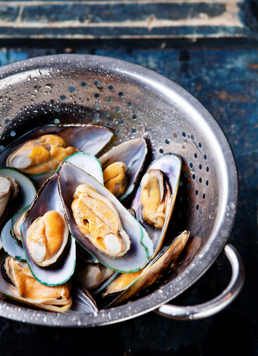 Cooking with: shellfish