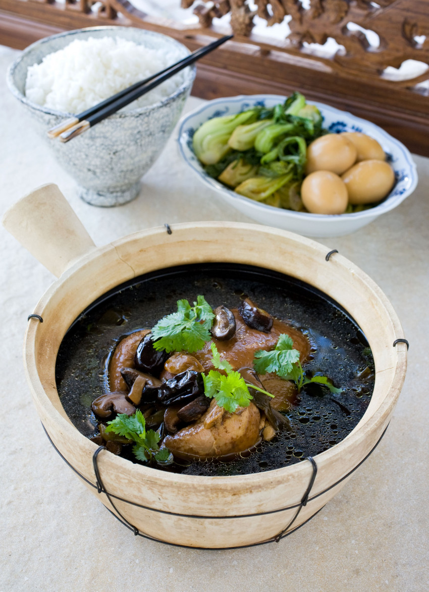 Chinese Braised Chicken