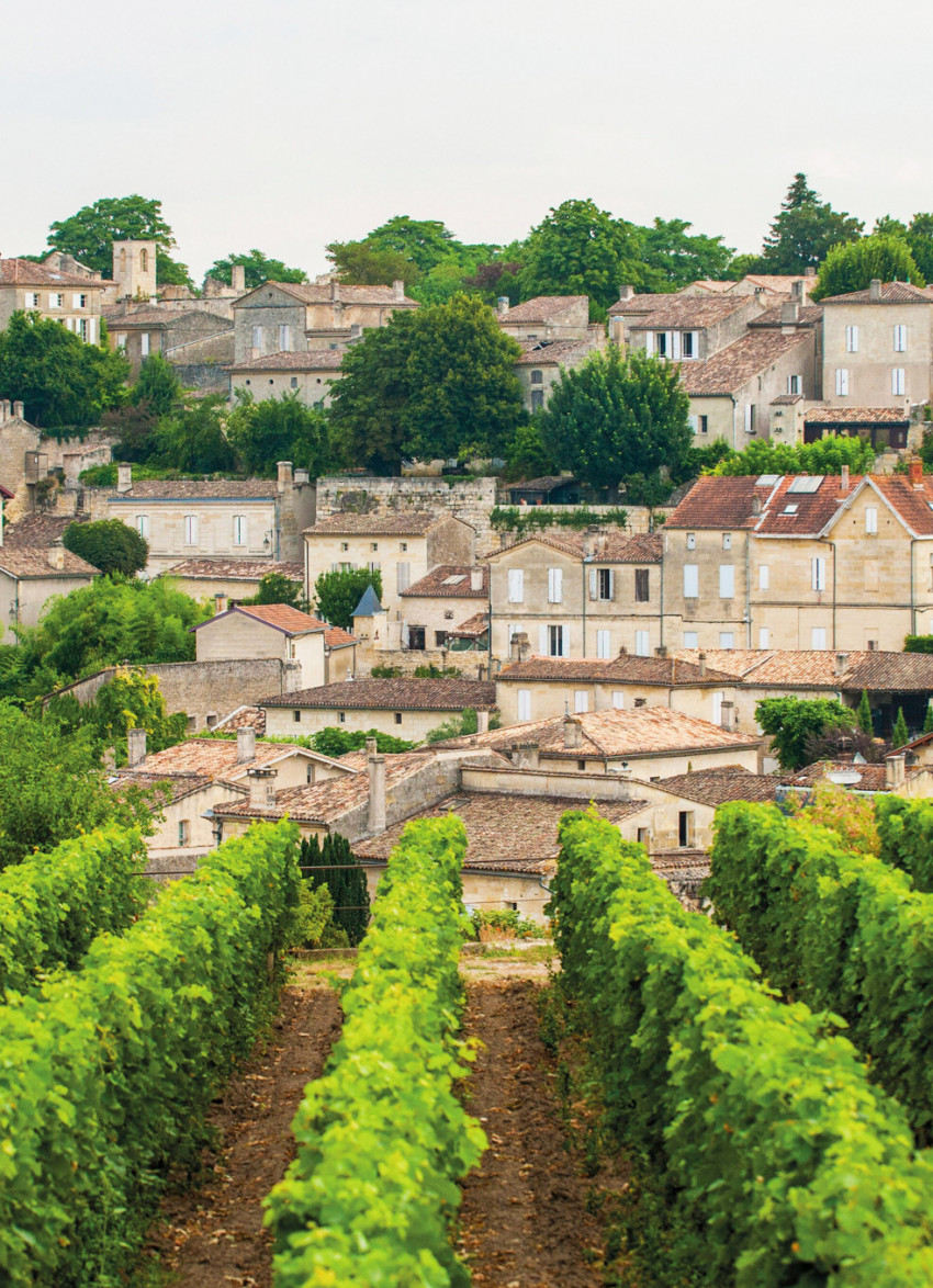 The best of Bordeaux with Yvonne Lorkin