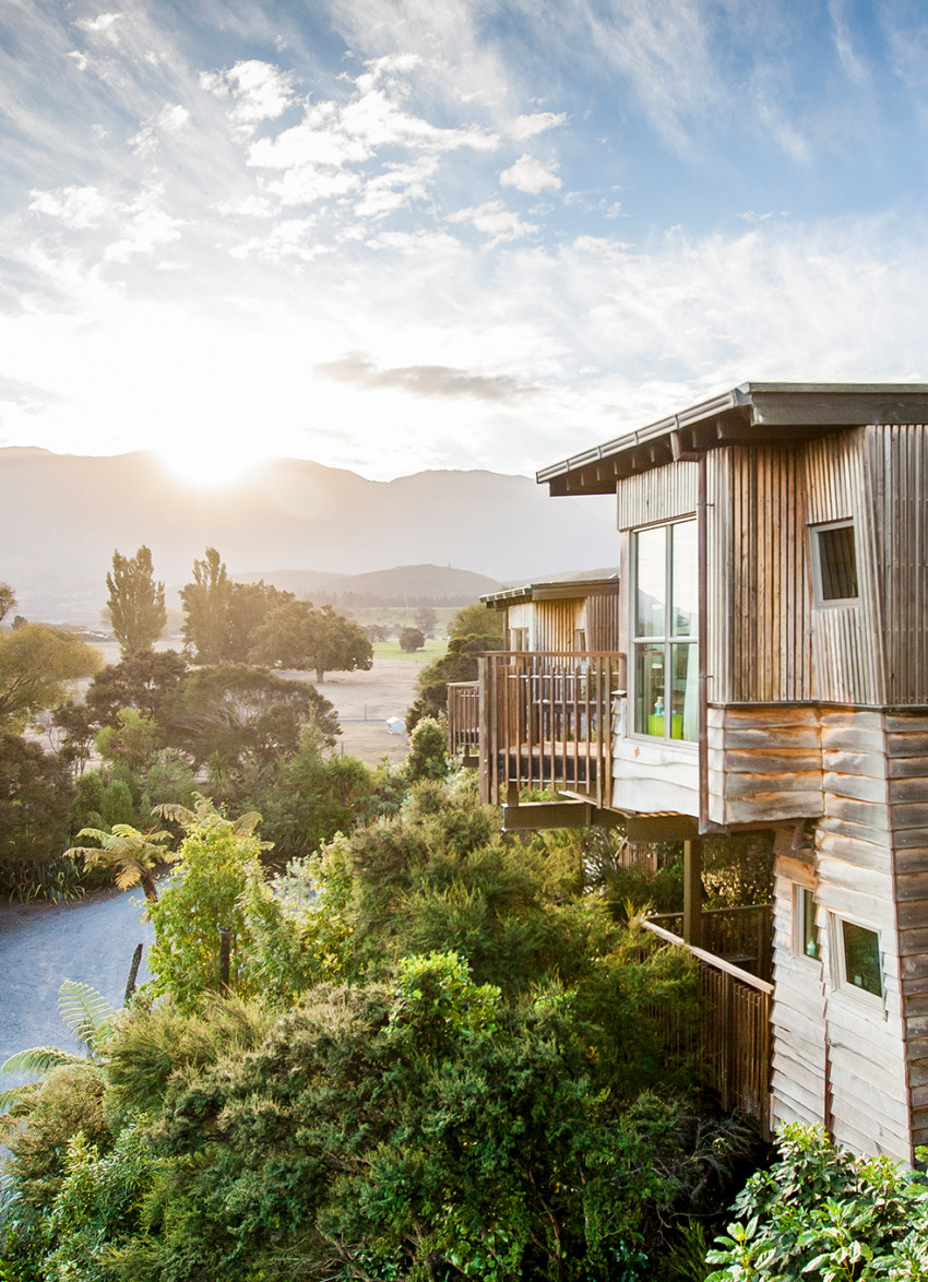 Eco series: Hapuku Lodge + Tree Houses