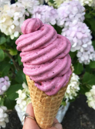 Seven of the best: real fruit ice-cream stops