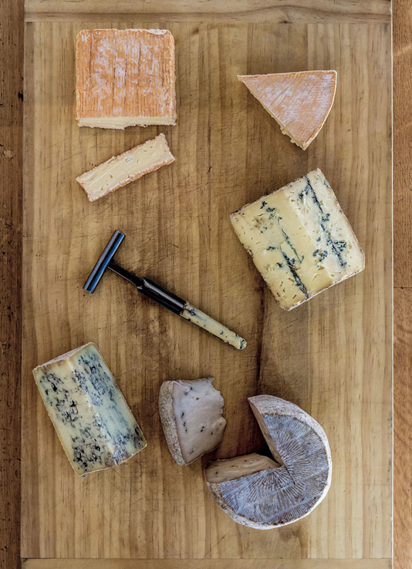 The Big Cheese: New Zealand Champions of Cheese