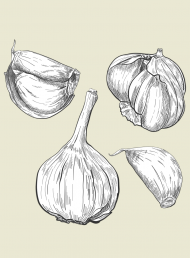 In season: cooking with garlic 101