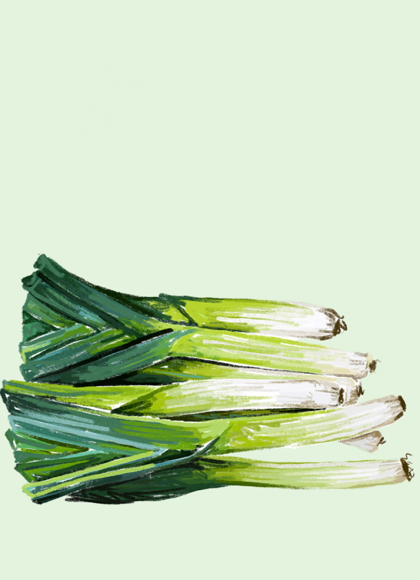 Leeks at their best