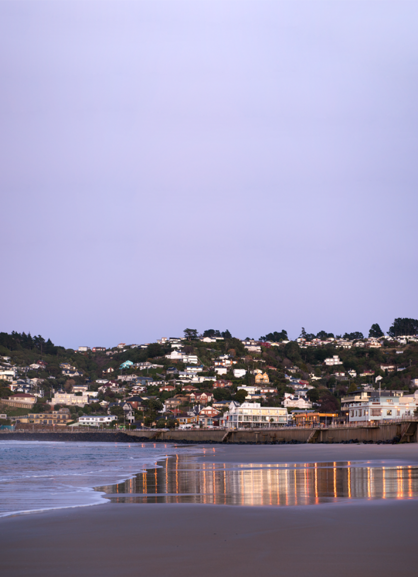 What to do in Dunedin