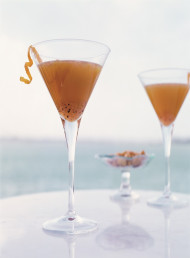 Chargrilled Grapefruit and Rose Honey Martini