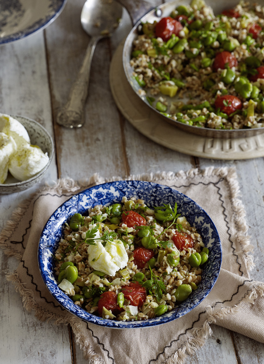 Farro Risotto, Roasted Tomatoes, Broad Beans and Mozzarella