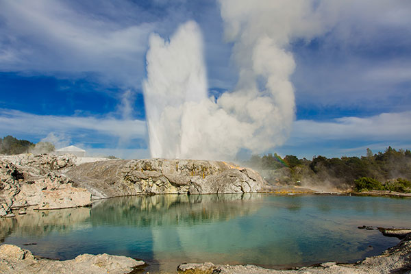 rotorua geyser