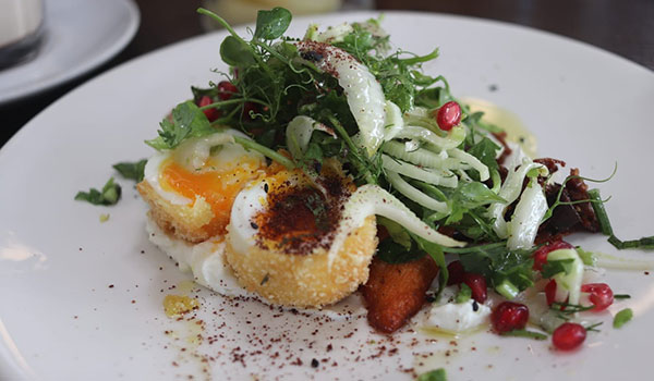 Herbed eggs with salmon at lily eatery