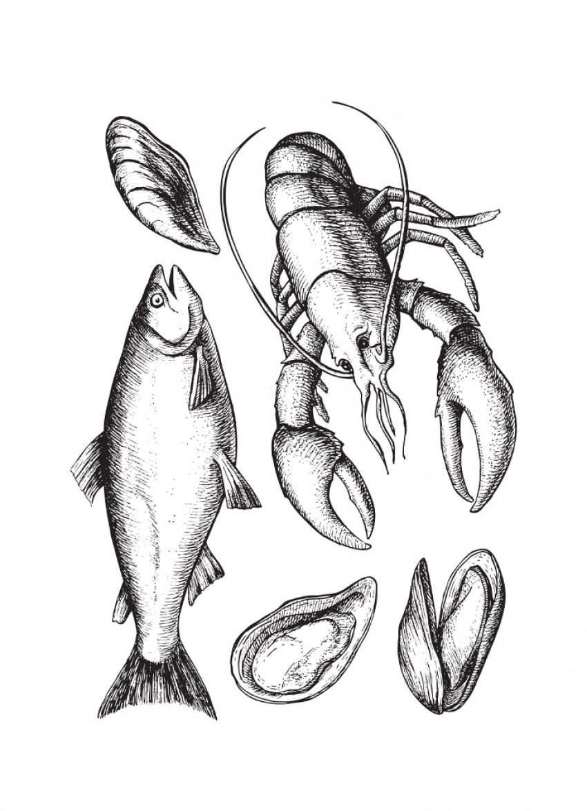 A guide to: shellfish