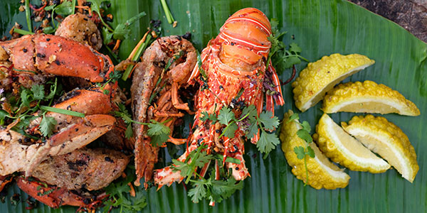 lobster in fiji