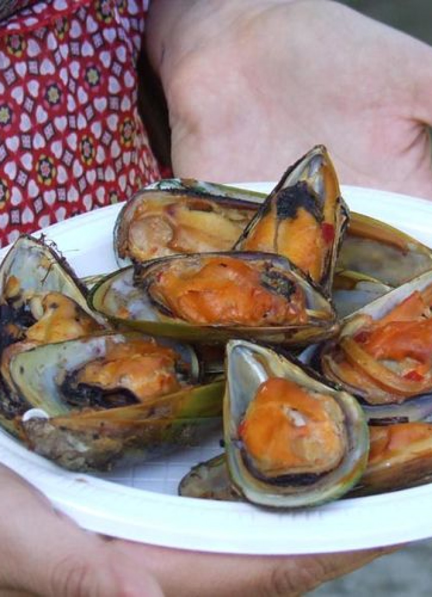 Great Fitzroy Mussel Festival 