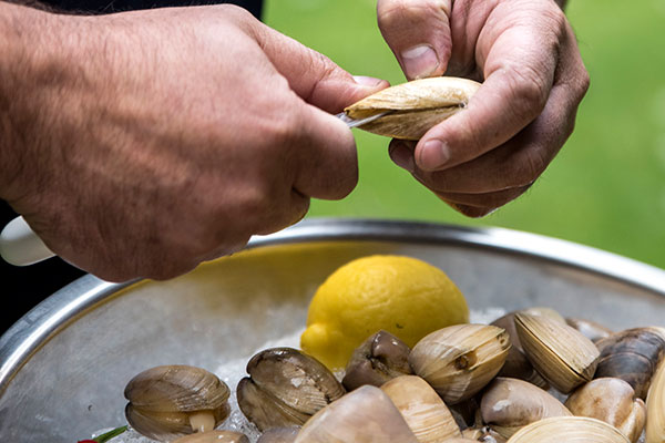 how to shuck clams